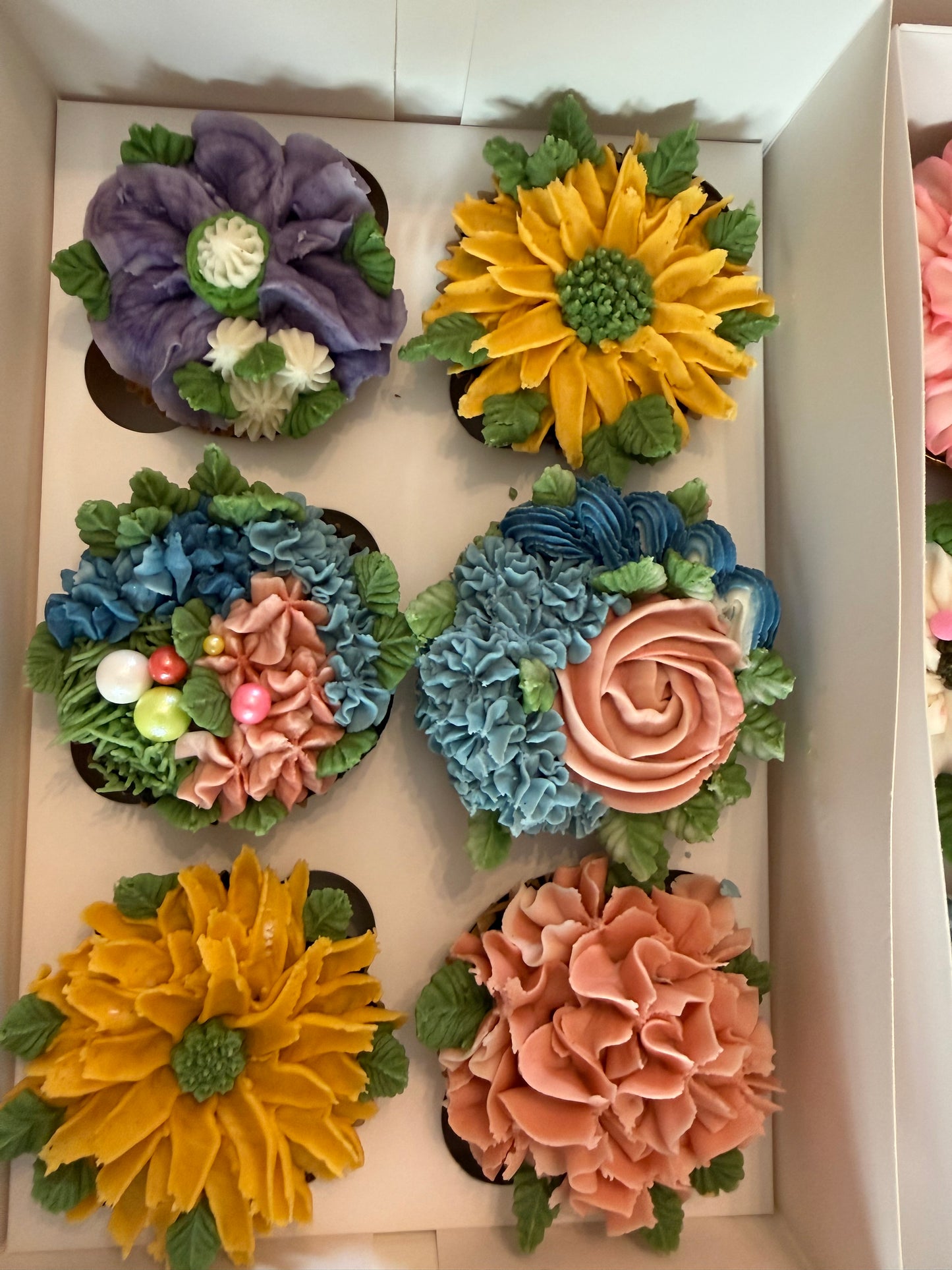 Luxury Cupcakes - 6  Pack